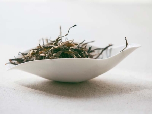 magnolia cha ze tea scoop 1 | BITTERLEAF TEAS