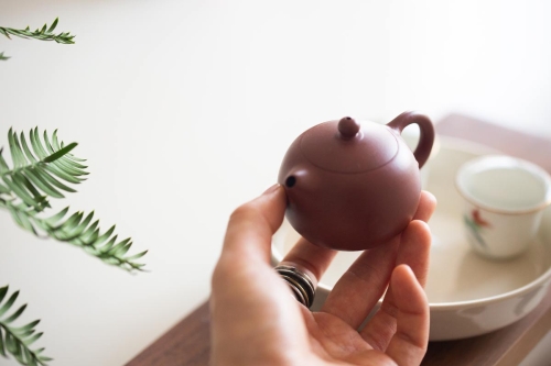 chaozhou clay xishi teapot 7 23 5 | BITTERLEAF TEAS