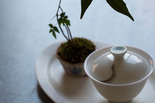 hide seek gaiwan 12 | BITTERLEAF TEAS