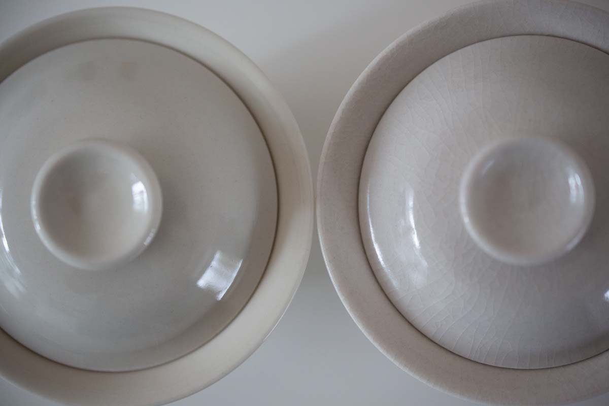 lucid moon gaiwan compare | BITTERLEAF TEAS