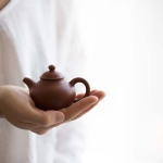 chaozhou clay duoqiu teapot 3 | BITTERLEAF TEAS