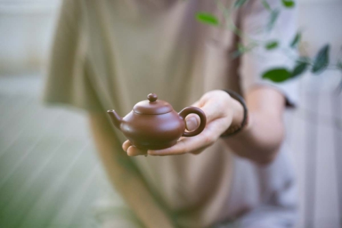 chaozhou clay mengchen teapot 1 11 | BITTERLEAF TEAS