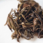 greatest hits gushu sheng puer tea 12 | BITTERLEAF TEAS