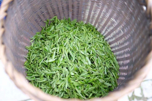 Private Order: 2024 Shifeng Longjing/Dragonwell Green Tea - Image 3