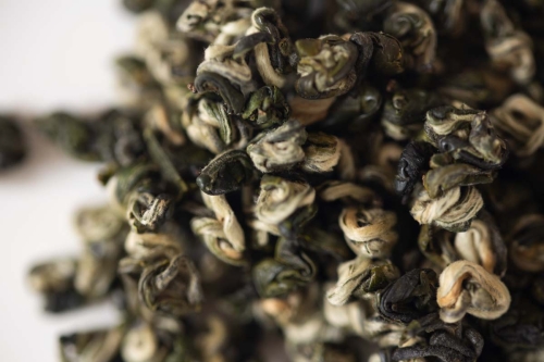 hulk spring 2021 simao yunnan green tea 2 | BITTERLEAF TEAS