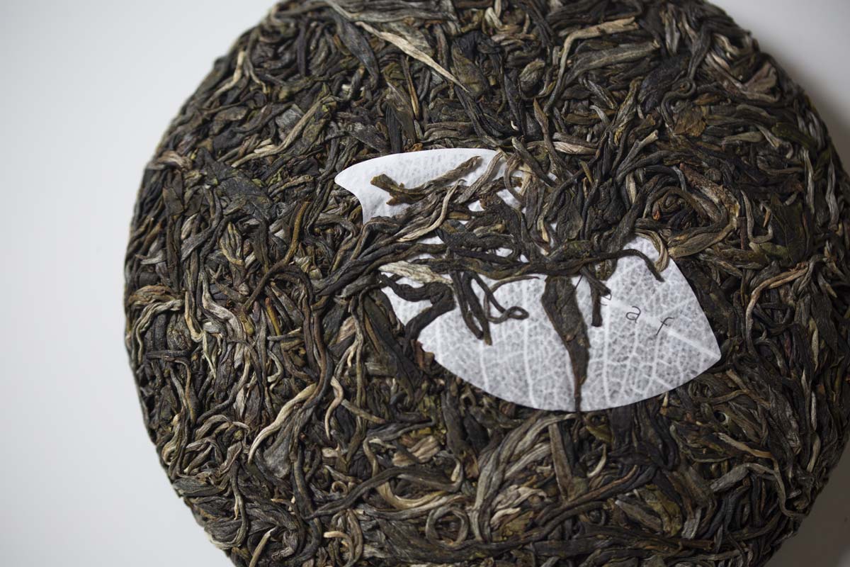 straight no chaser 2021 spring bulang raw puer puerh 7 | BITTERLEAF TEAS