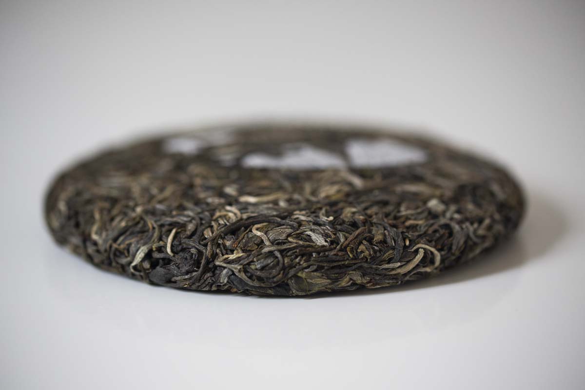 straight no chaser 2021 spring bulang raw puer puerh 8 | BITTERLEAF TEAS