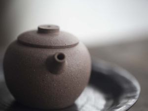 yixing duanni mini julunzhu teapot 5 | BITTERLEAF TEAS
