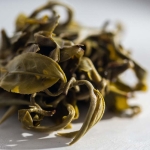 hulk 2022 spring simao green tea 3 | BITTERLEAF TEAS