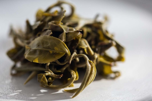 hulk 2022 spring simao green tea 3 | BITTERLEAF TEAS