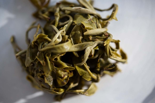 hulk 2022 spring simao green tea 4 | BITTERLEAF TEAS