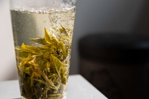 hulk 2022 spring simao green tea 8 | BITTERLEAF TEAS