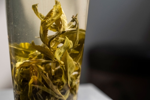 hulk 2022 spring simao green tea 9 | BITTERLEAF TEAS