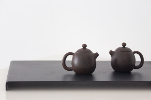 mini jianshui zitao teapot longdan 5 | BITTERLEAF TEAS