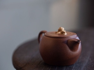 shi yun yixing zisha jiangponi teapot 11 | BITTERLEAF TEAS
