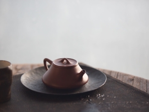 zhu ling piao yixing zisha zhuni teapot 12 | BITTERLEAF TEAS