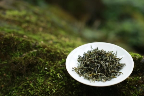 the finest 2022 mengding ganlu green tea 2 | BITTERLEAF TEAS