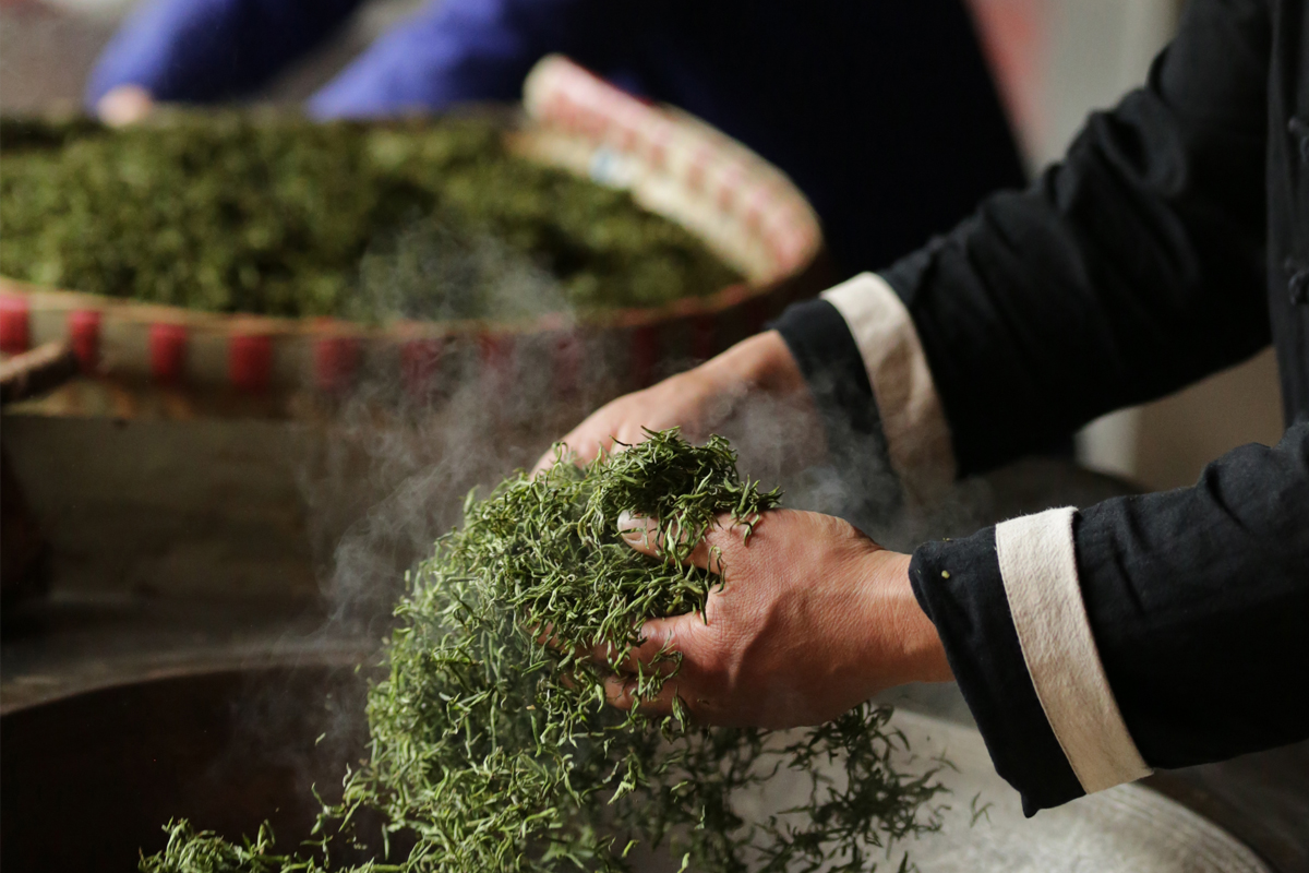 the finest 2022 mengding ganlu green tea 8 | BITTERLEAF TEAS