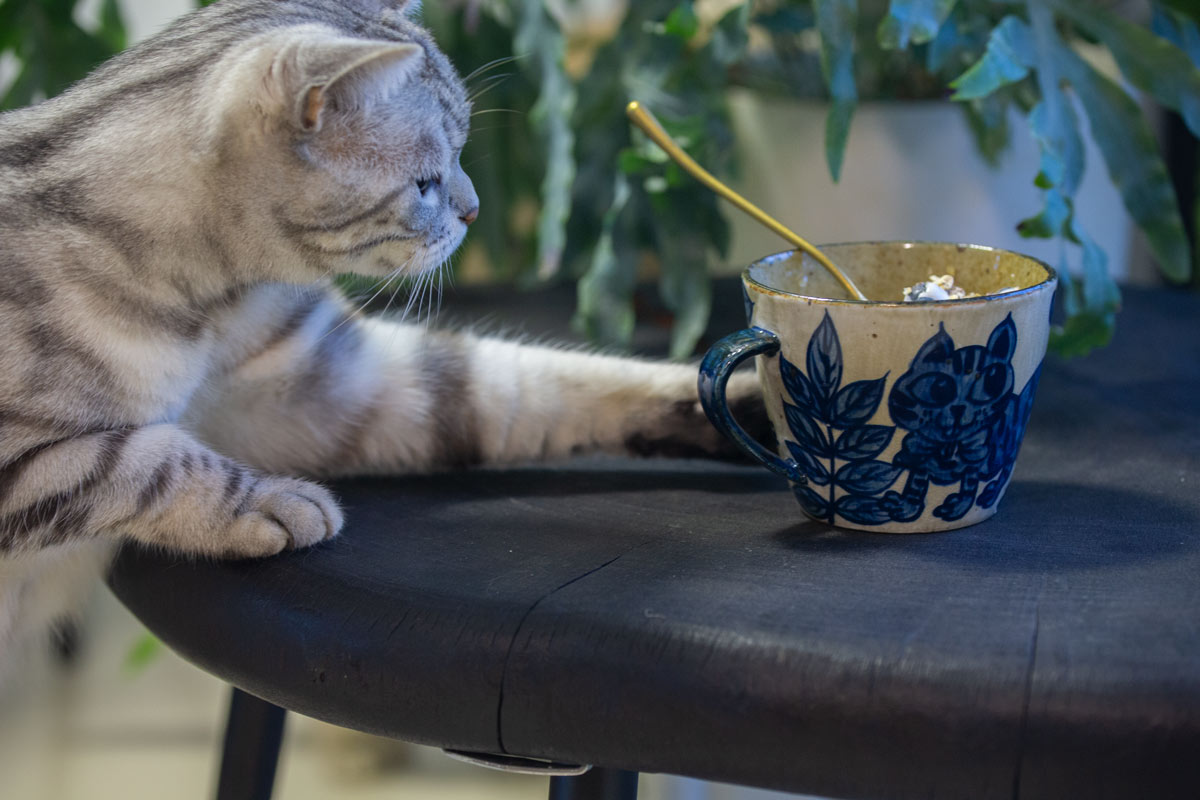 enchantment qinghua mug 24 | BITTERLEAF TEAS