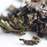 year of the tiger 2022 yiwu white tea 10 | BITTERLEAF TEAS