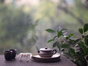 biancheng zini yixing zisha teapot 1 | BITTERLEAF TEAS