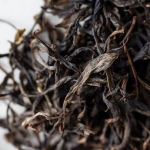 bitterleaf finds 2019 xigui raw puer 3 | BITTERLEAF TEAS