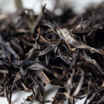 bitterleaf finds 2019 xigui raw puer 4 | BITTERLEAF TEAS