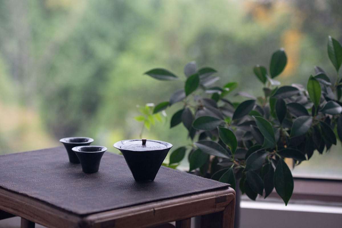 facet gaiwan 1 | BITTERLEAF TEAS