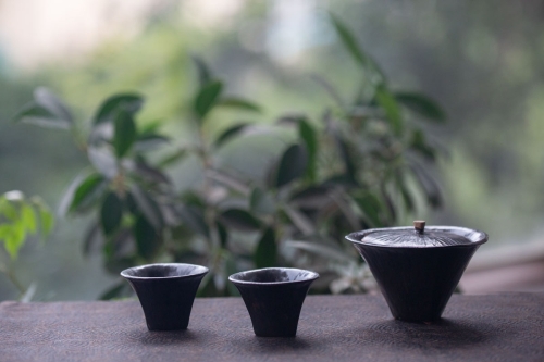 facet gaiwan 2 | BITTERLEAF TEAS