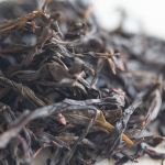 ambrosia 2022 baxian dancong oolong 6 | BITTERLEAF TEAS