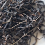 ambrosia 2022 baxian dancong oolong 7 | BITTERLEAF TEAS