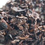 beyond the bitter end 2020 laomane ripe puer 11 | BITTERLEAF TEAS