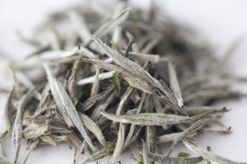 top flight 2022 silver needle white tea 1 | BITTERLEAF TEAS