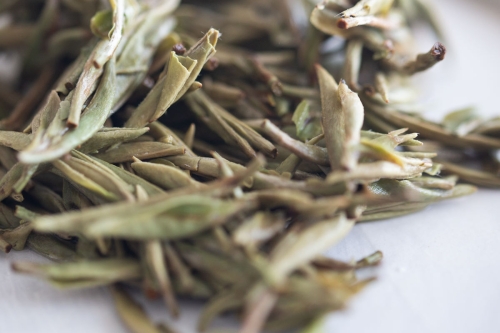 top flight 2022 silver needle white tea 4 | BITTERLEAF TEAS