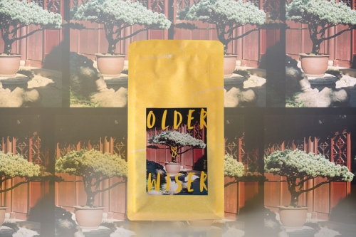 older wiser 80s liubao heicha 1 | BITTERLEAF TEAS