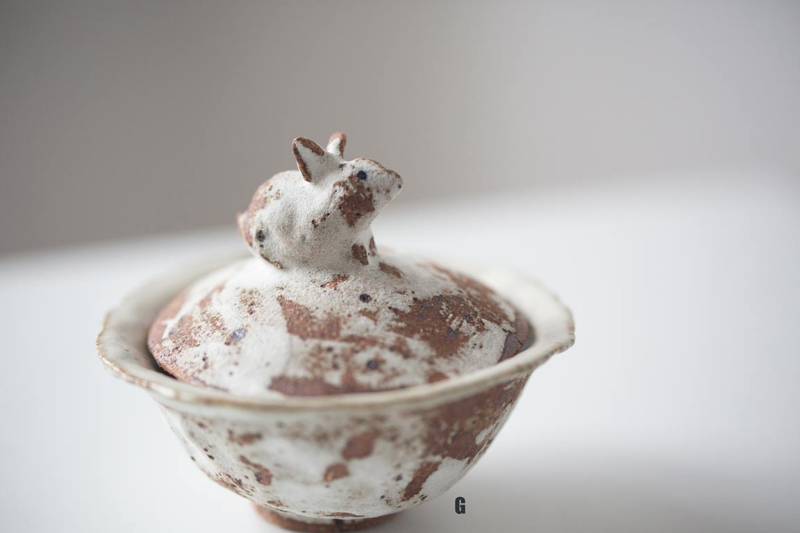 snow friends gaiwan 5 23 11 | BITTERLEAF TEAS