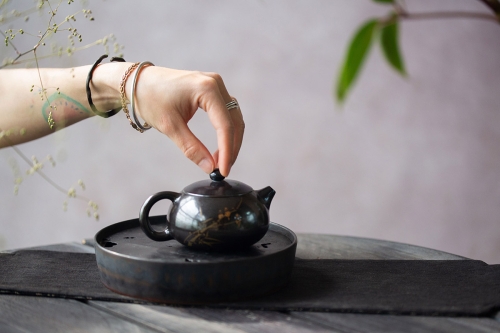 black pearl xishi wood fired jianshui zitao teapot 9 | BITTERLEAF TEAS