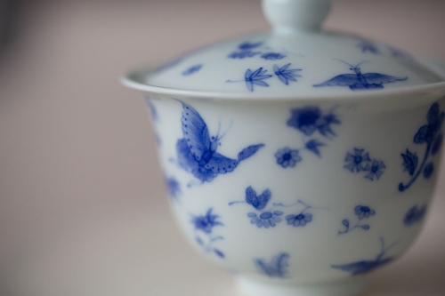 imperial blue gaiwan botany 4 | BITTERLEAF TEAS