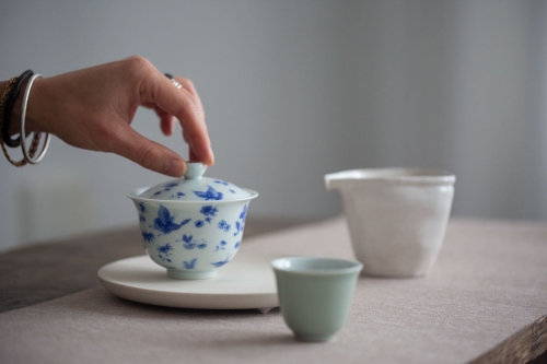 imperial blue gaiwan botany 9 | BITTERLEAF TEAS