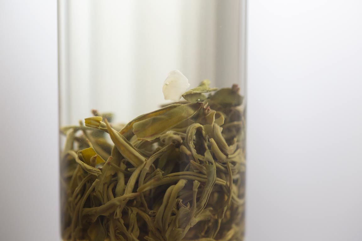 100 yr teahouse exp jasmine green tea 6 | BITTERLEAF TEAS