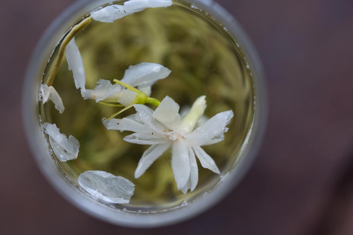 100 yr teahouse exp jasmine green tea 7 | BITTERLEAF TEAS