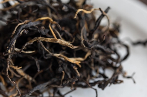 black rabbit 2023 spring yiwu black tea 4 | BITTERLEAF TEAS