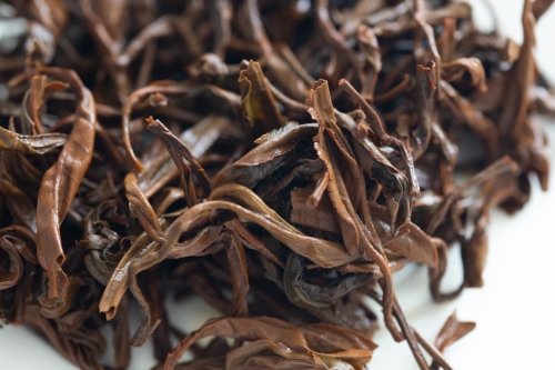 black rabbit 2023 spring yiwu black tea 6 | BITTERLEAF TEAS