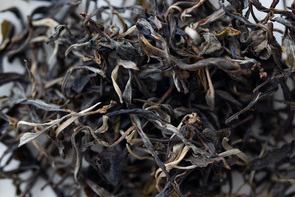 fresh 2023 spring yiwu maocha 2 | BITTERLEAF TEAS