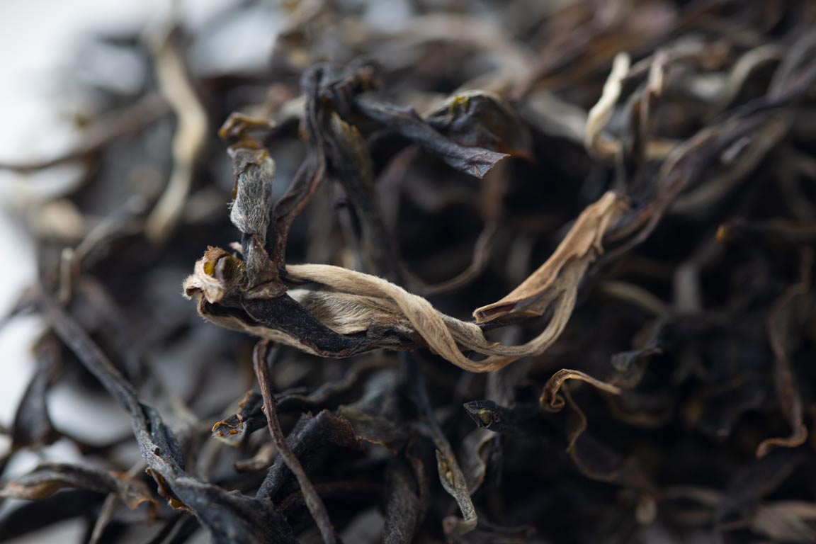 fresh 2023 spring yiwu maocha 3 | BITTERLEAF TEAS