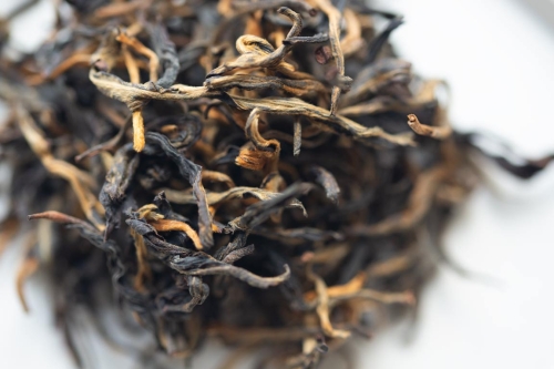 darling 2023 fengqing black tea 4 | BITTERLEAF TEAS