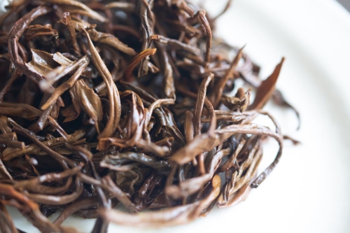 darling 2023 fengqing black tea 8 | BITTERLEAF TEAS