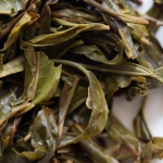 prime 2023 mahei shimenkan raw puer 6 | BITTERLEAF TEAS