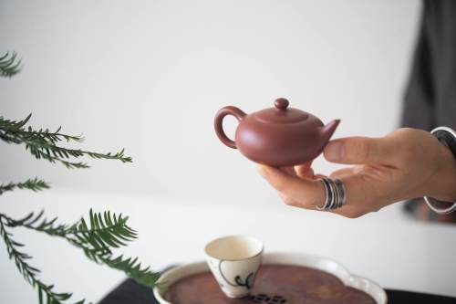 Chaozhou Da Hong Pao Clay Full Moon Teapot - Image 7