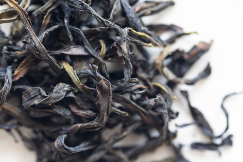 easy breezy 2023 spring yashixiang dancong 1 | BITTERLEAF TEAS